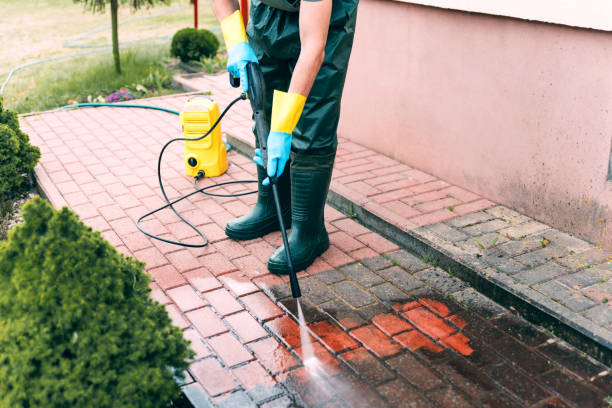 Best Roof Washing  in Ross, CA